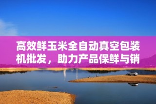 高效鮮玉米全自動真空包裝機批發(fā)，助力產(chǎn)品保鮮與銷售