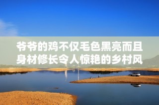 爺爺?shù)碾u不僅毛色黑亮而且身材修長令人驚艷的鄉(xiāng)村風(fēng)情