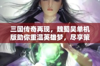 三國傳奇再現(xiàn)，魏蜀吳單機版助你重溫英雄夢，盡享策略對決樂趣