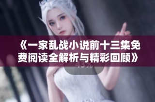 《一家亂戰(zhàn)小說前十三集免費閱讀全解析與精彩回顧》