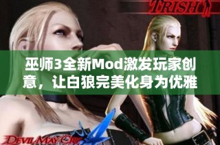 巫師3全新Mod激發(fā)玩家創(chuàng)意，讓白狼完美化身為優(yōu)雅騎士形象