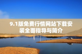 9.1版免費(fèi)行情網(wǎng)站下載安裝全面指導(dǎo)與簡介