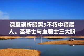 深度剖析暗黑3不朽中獵魔人、圣騎士與血騎士三大職業(yè)的特點(diǎn)與玩法