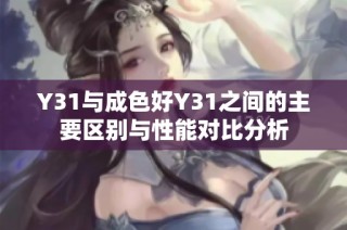 Y31與成色好Y31之間的主要區(qū)別與性能對(duì)比分析