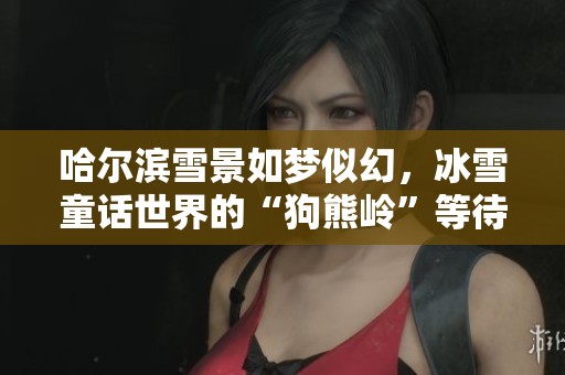 哈爾濱雪景如夢(mèng)似幻，冰雪童話世界的“狗熊嶺”等待與你相遇