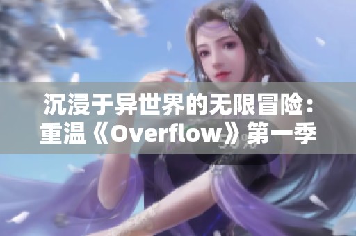 沉浸于異世界的無限冒險：重溫《Overflow》第一季的奇妙旅程